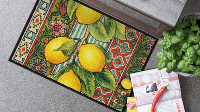 Eingangsmatte 40x60 Doni Preziosi