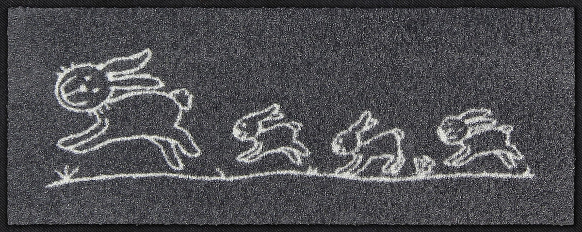 Fußabtreter klein 30x75 Hereingehoppelt