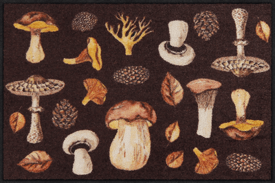 Fußmatte 50x75 Mushroom Time braun