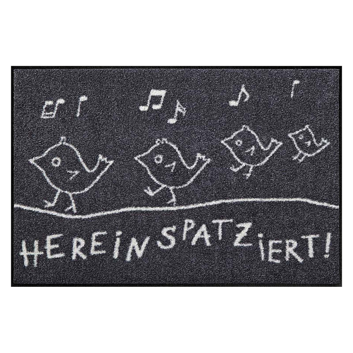 Fußmatte 50x75 Hereinspatziert grau