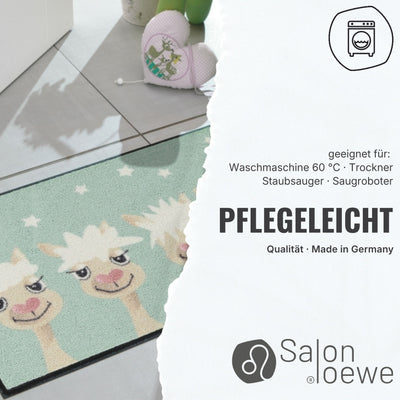 Pflegeleichter waschbarer Fußabtreter EB209