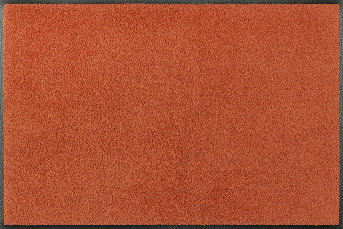 Eingangsmatte 60x90  Spice Rust