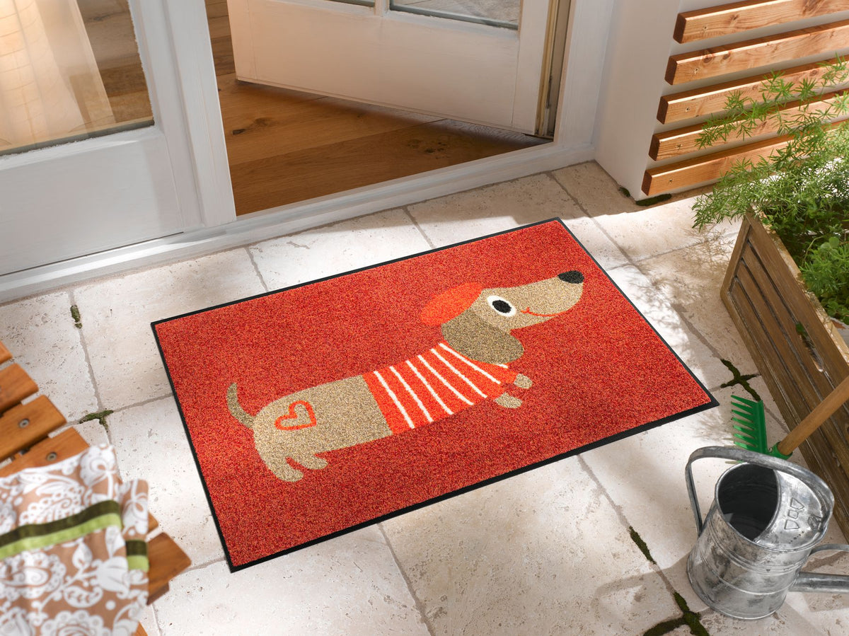 Fußmatte 50x75 Monsieur Chien Dackel