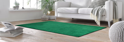 Wohnteppich 120x180  Ever Green